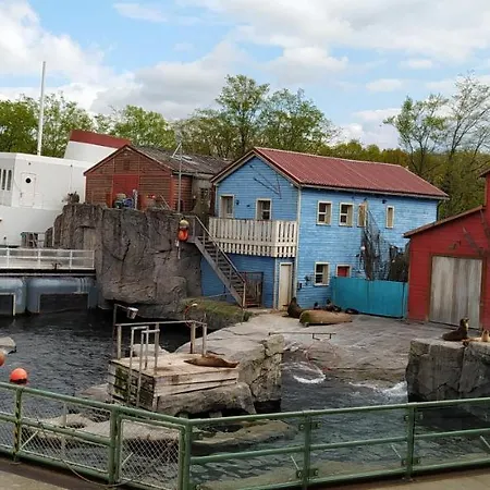 Colin Im Schoenen Weserbergland Naehe Freizeitpark *